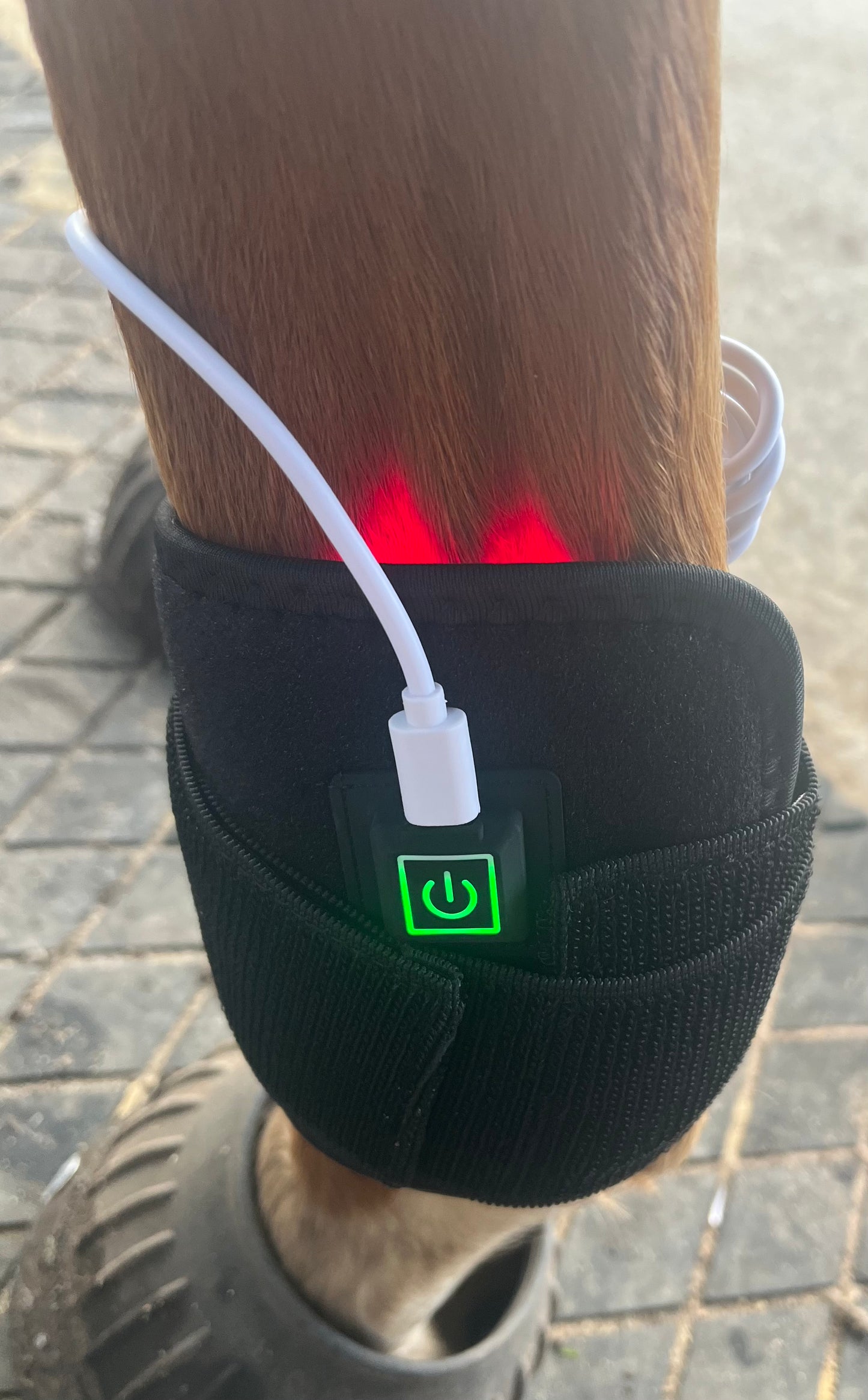 **Special**Infrared Red Light Therapy Pad- Small