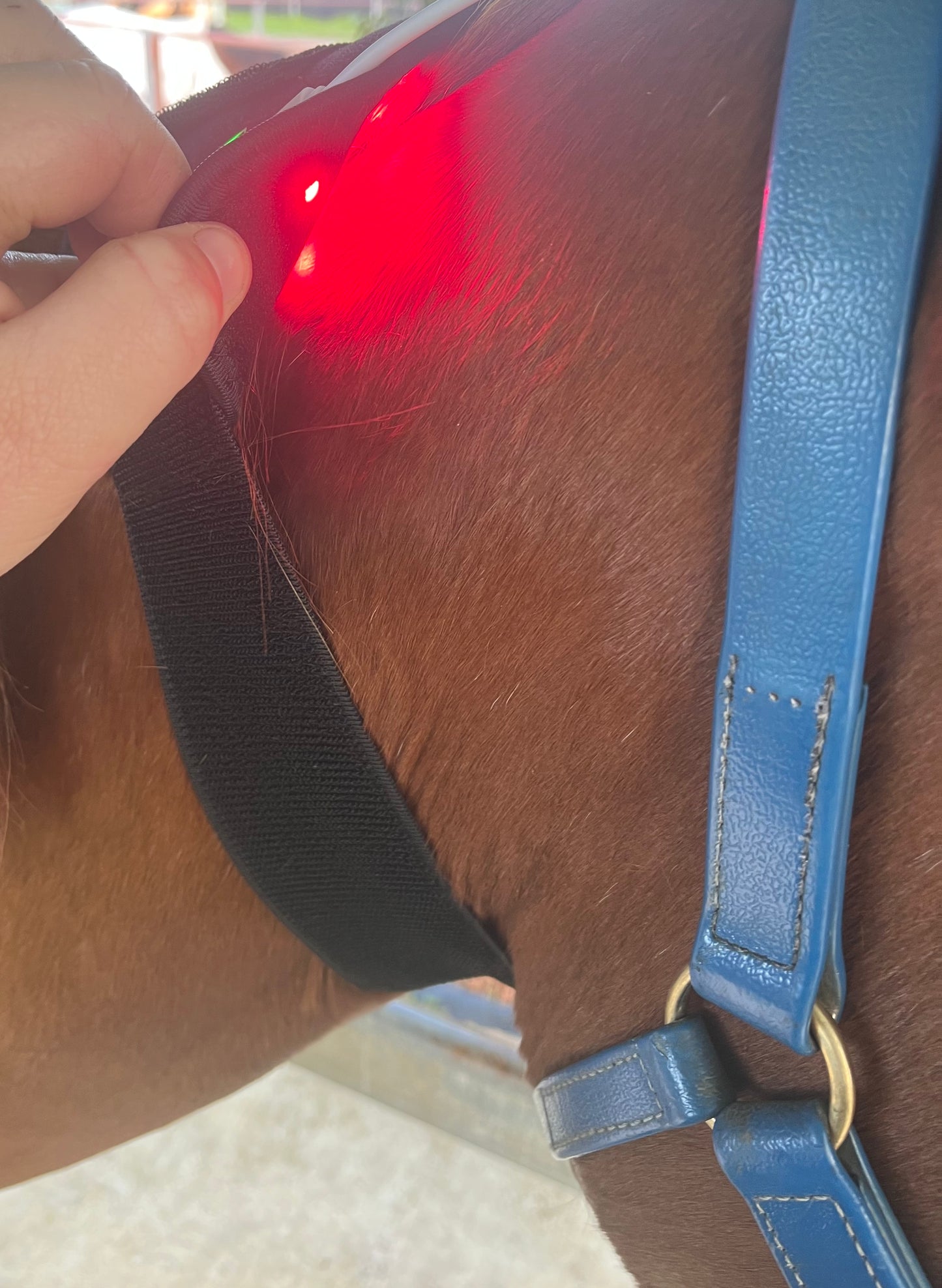 **Special**Infrared Red Light Therapy Pad- Small