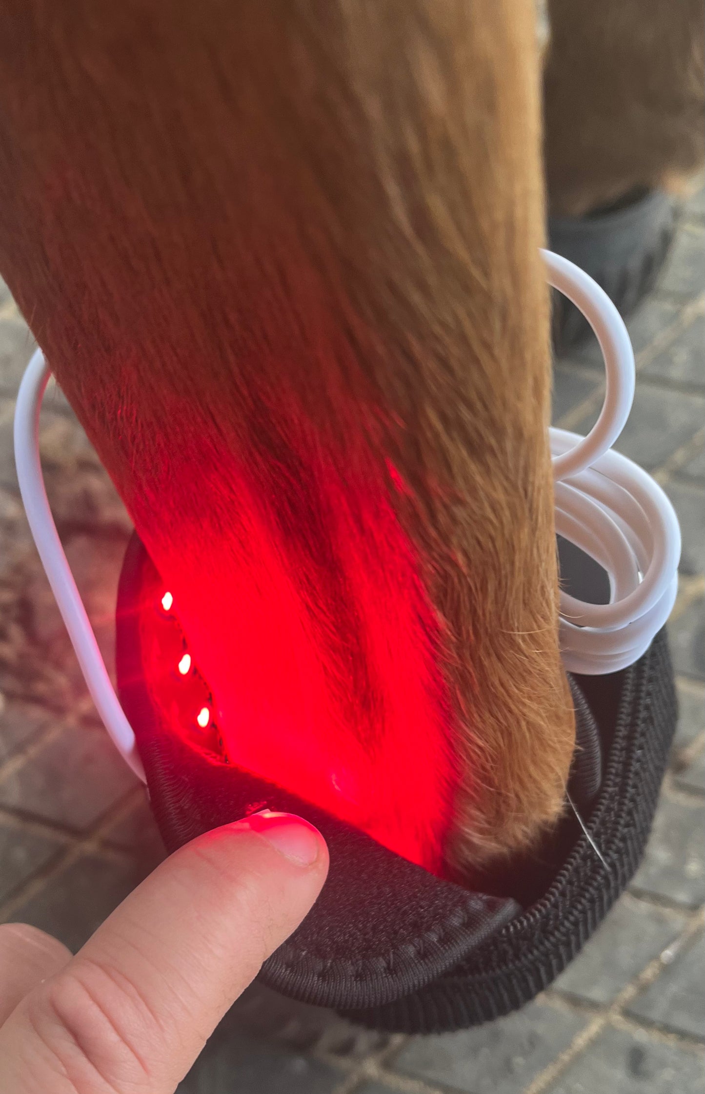 **Special**Infrared Red Light Therapy Pad- Small
