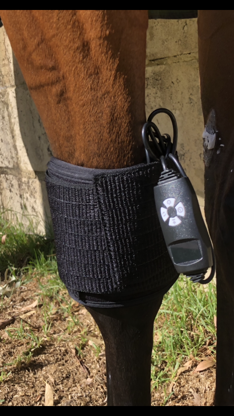 Infrared Red Light Therapy Pad- Small