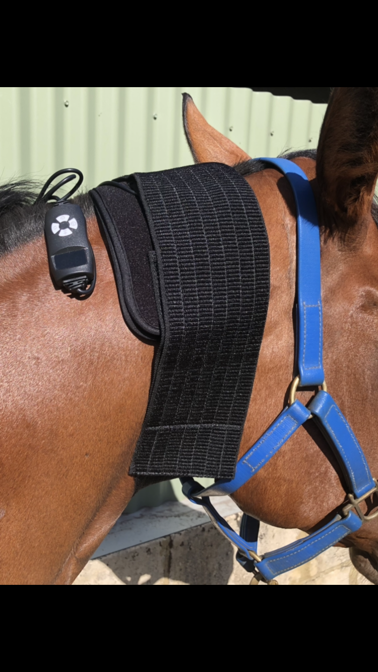 Infrared Red Light Therapy Pad- Small