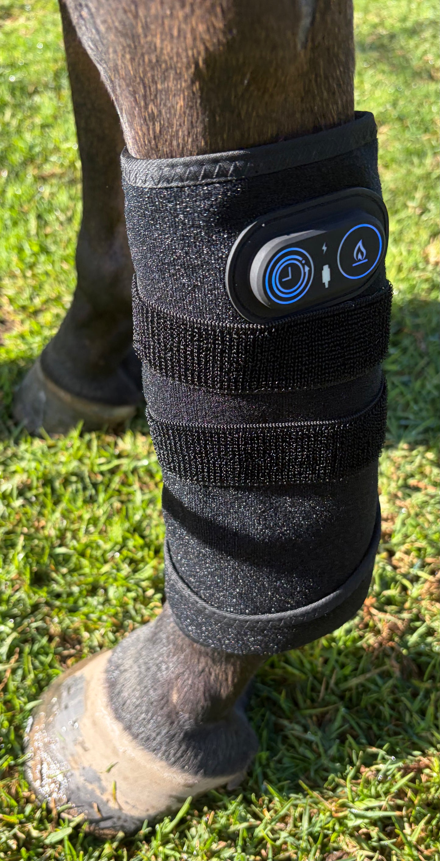 ***NEW***Red Light Therapy Equine Wrap- Universal**Intro Offer