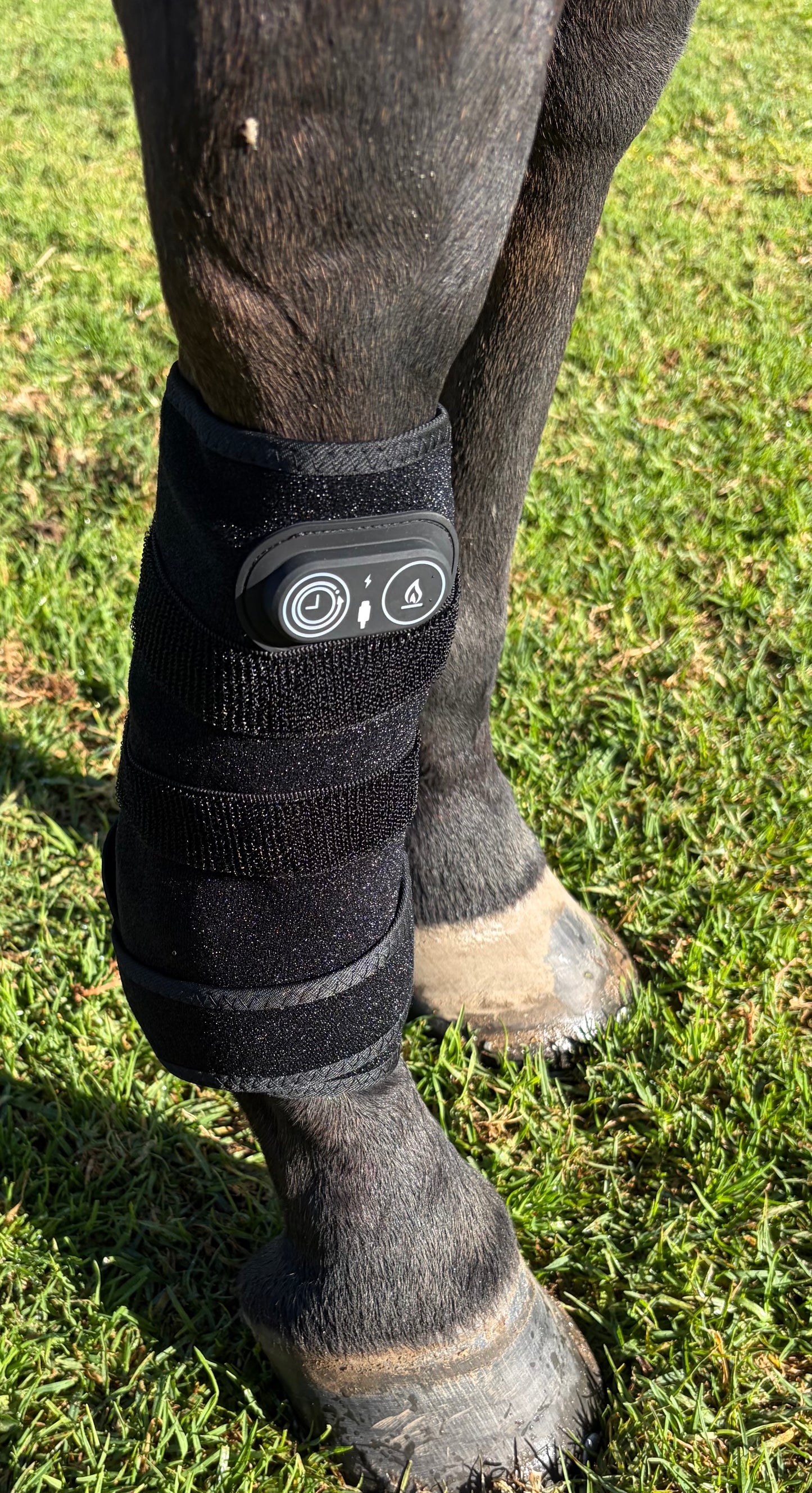 ***NEW***Red Light Therapy Equine Wrap- Universal**Intro Offer