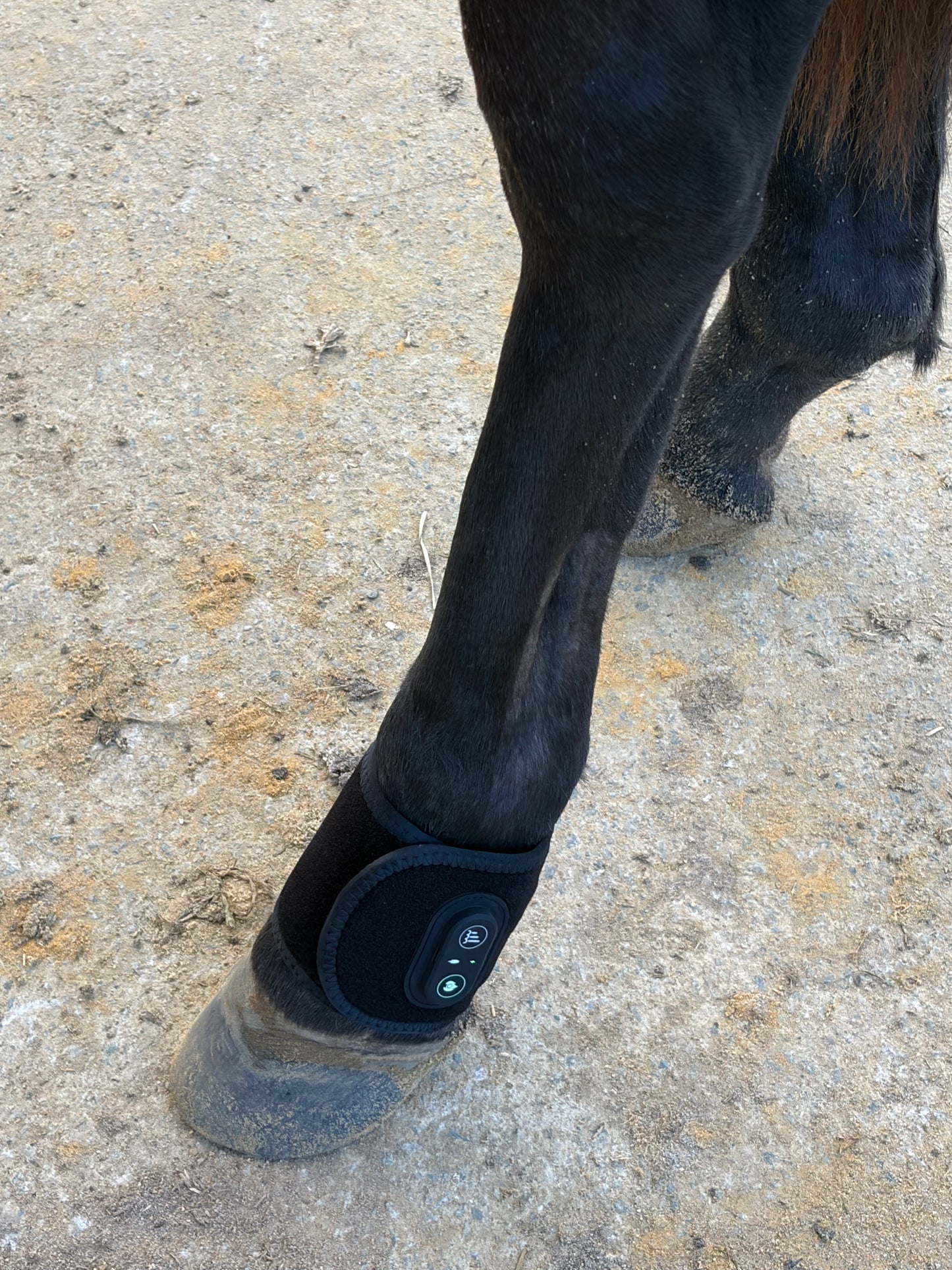 **NEW**Charge&Go Hoof & Joint Wrap- 2 for $250